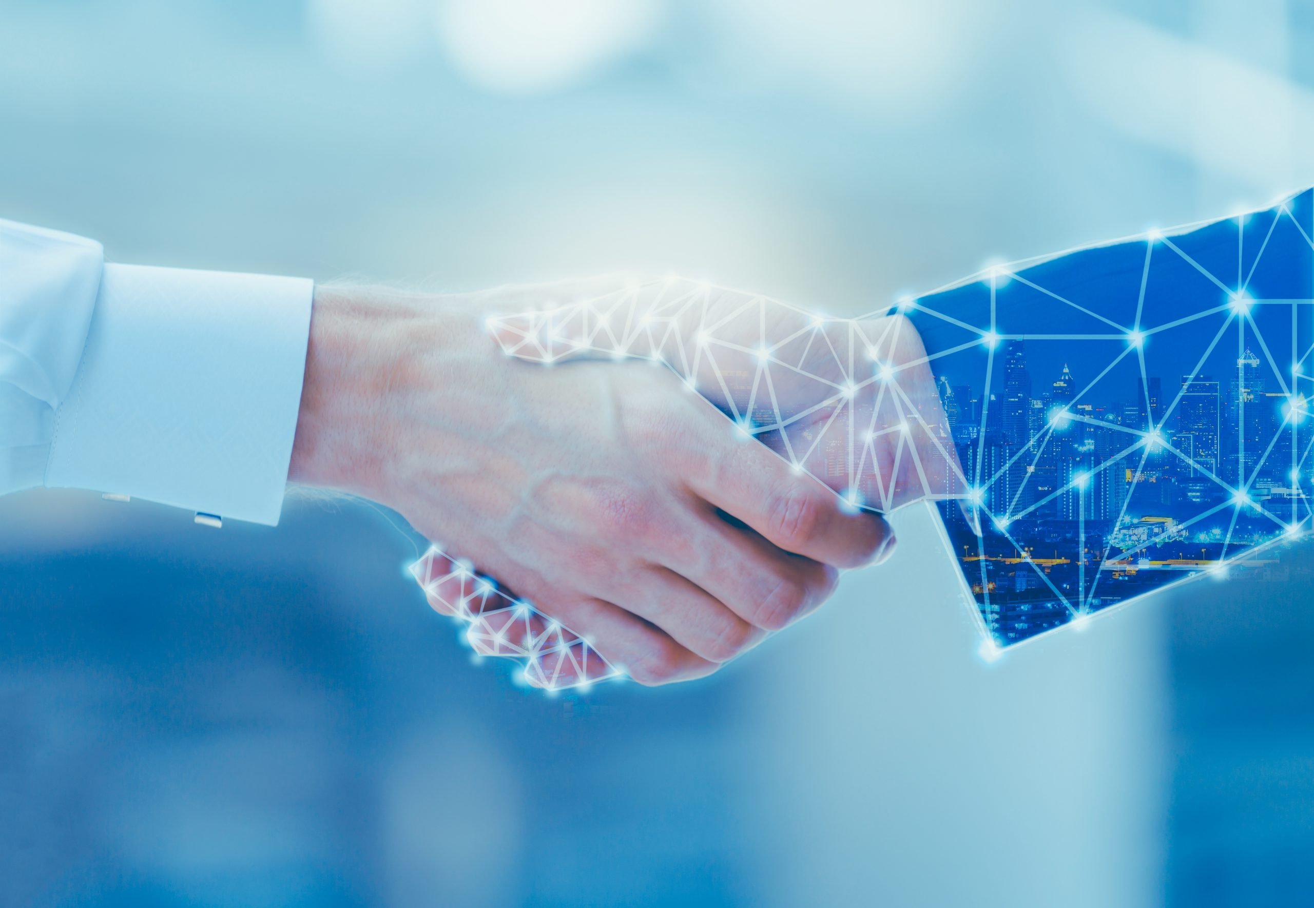 Technology Partner Technology Partner